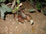 DSC00370