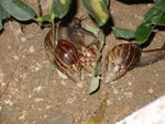 DSC00375