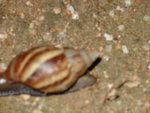 DSC00377