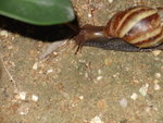 DSC00378