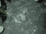 DSC00380