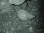DSC00381