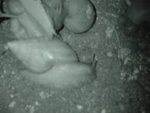 DSC00382