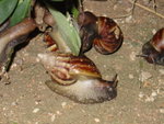 DSC00383