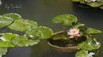 CRW_6624