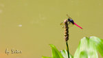 CRW_6630