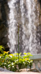 CRW_6633