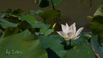 CRW_6641