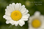 CRW_1299