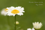 CRW_1307