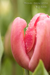 CRW_1331