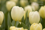 CRW_1337