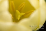 CRW_1341