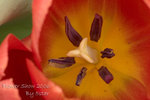 CRW_1352