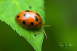 CRW_5477