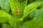 CRW_5509