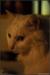 DSC_3890a