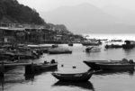 DSC_5529bw