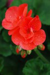 s-DSC_2797