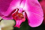 s-DSC_2810