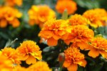 s-DSC_2812