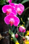 s-DSC_2819