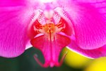 s-DSC_2825