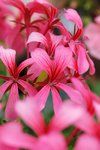 s-DSC_2853