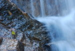 DSC_0549_resize