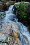 DSC_0564_resize