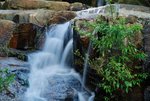 s-DSC_0562