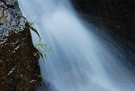 s-DSC_0570r