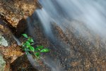 s-DSC_0574