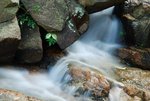s-DSC_0578