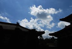 DSC_8085_resize