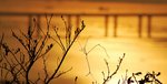 s-DSC_4007r