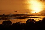 s-DSC_4026