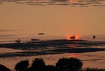 s-DSC_4067