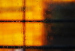 DSC_7559_resize