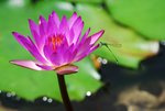 s-DSC_9460