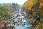 tn_DSC_3456