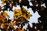 _DSC0463_resize