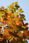 DSC_0461r_resize