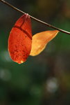 DSC_2723_resize