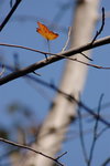 FILE5501_resize