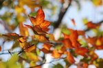 FILE5708_resize