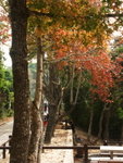 taitam-1