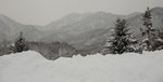 s640-_DSC0850a