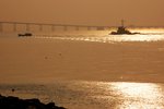 s-DSC_6269