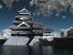 IMG_9375-s